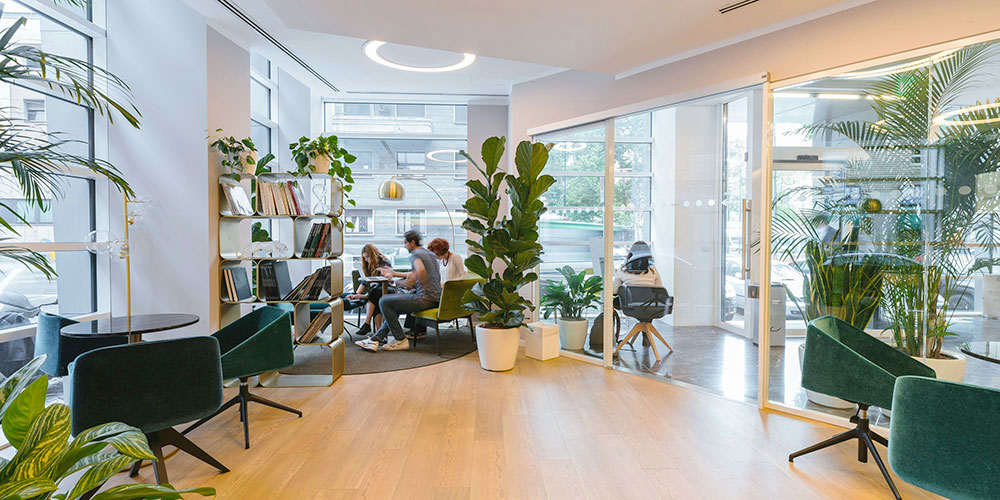 espace-de-bureau-avec-plantes-vertes-1000