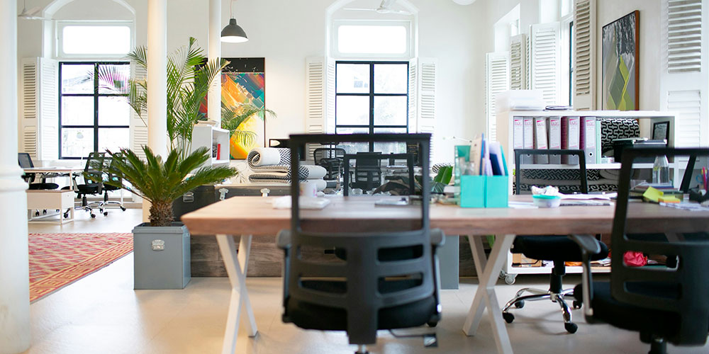 espace-de-bureau-vide-avec-plantes-1000