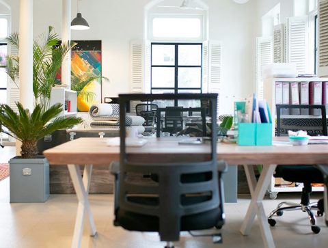 espace-de-bureau-vide-avec-plantes-1000