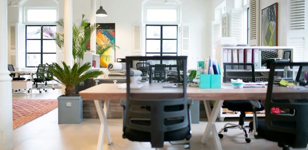 espace-de-bureau-vide-avec-plantes-1000